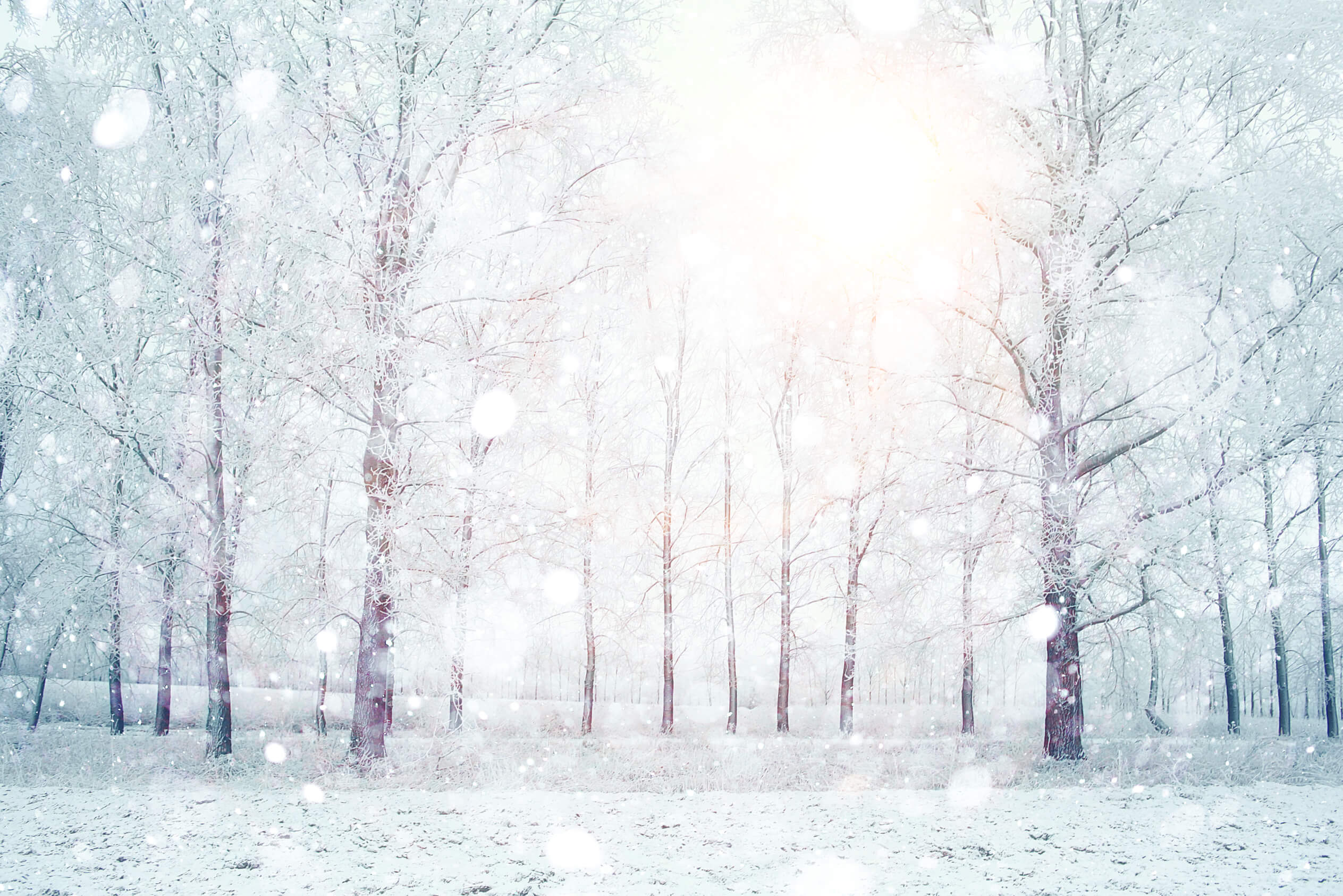 can you lay asphalt in winter