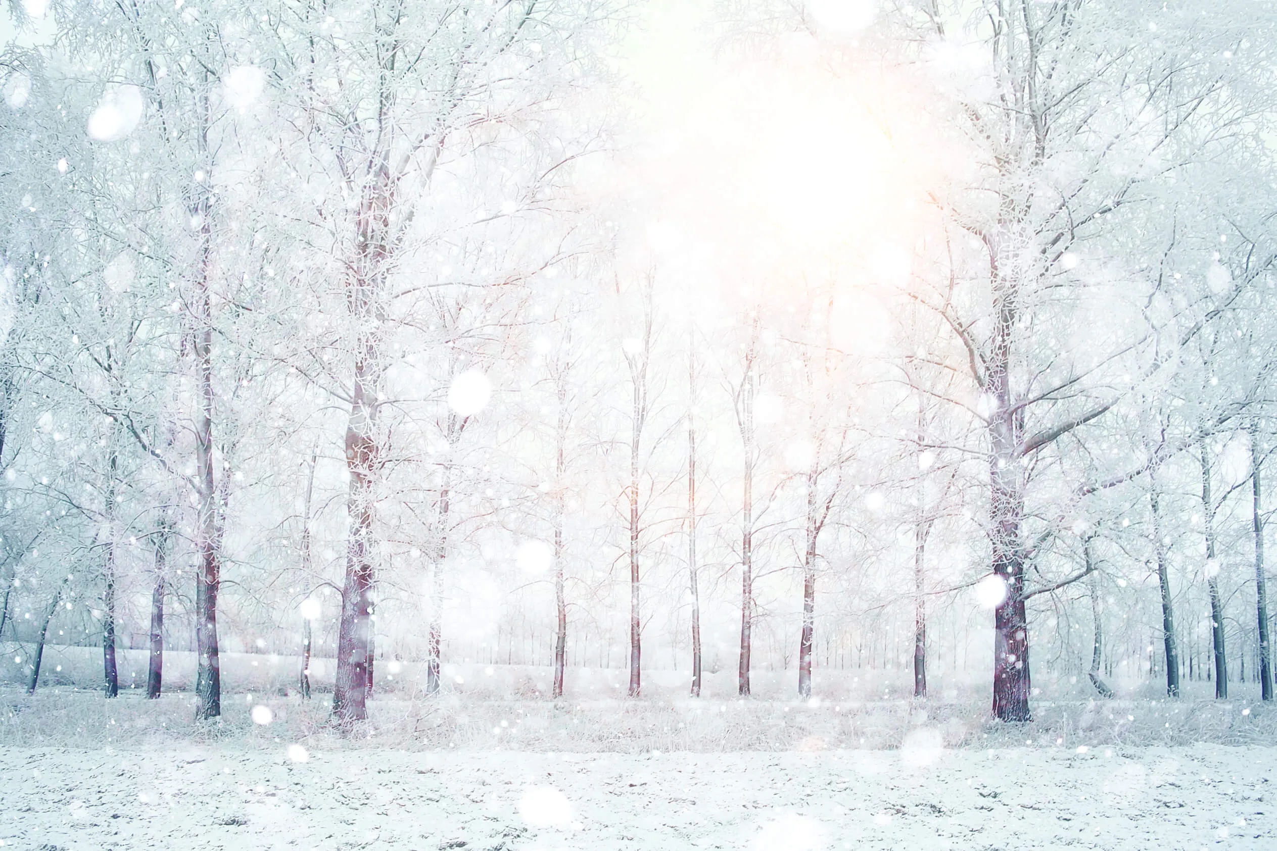 can you lay asphalt in winter